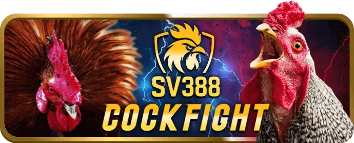 Cấp Độ VIP Kim Cương bet89 win