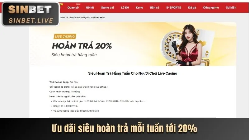 Các cấp độ VIP và lợi ích tại bet89 win